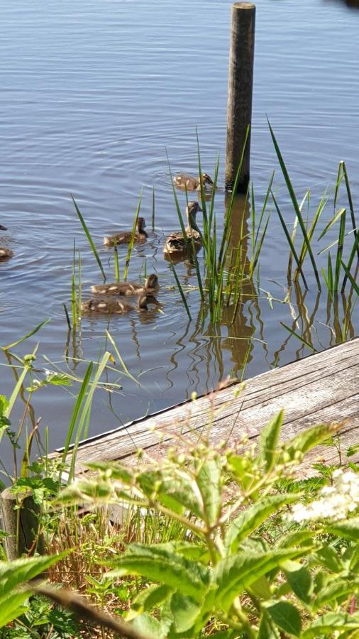 Buiten Huisje Aan De Vaart 1 Matsloot Exterior foto